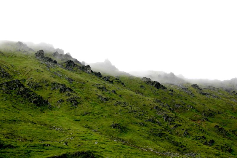 070404 Hope Hatcher Montana Creek (10162)